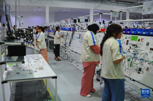 突尼斯工業(yè)部長(zhǎng) 期待與中國(guó)深化汽車(chē)行業(yè)合作與教育投資