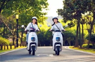 4月15日后電動(dòng)車(chē)、三輪車(chē)上牌指南 你最關(guān)心的問(wèn)題都在這